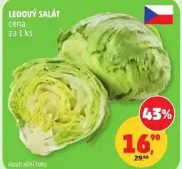 Penny Market Ledový salát nabídka