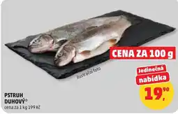 Penny Market Pstruh duhový nabídka
