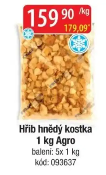 Qanto Hřib hnědý kostka Agro nabídka