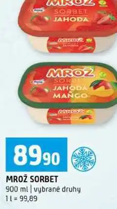 Terno MROŽ SORBET 900 ml vybrané druhy nabídka
