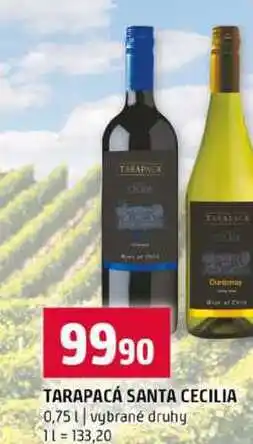 Terno TARAPACÁ SANTA CECILIA 0,75l vybrané druhy nabídka