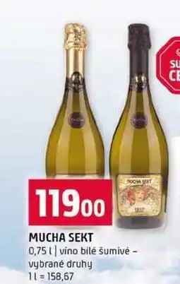 Terno MUCHA SEKT 0,75l vino bilé šumivé vybrané druhy nabídka
