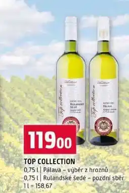 Terno TOP COLLECTION 0,75l Pálava výběr z hroznů 0,75l Rulandské šedé pozdní sběr nabídka