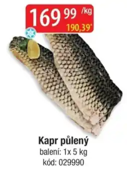 Qanto Kapr půlený nabídka