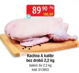 Qanto Kachna A kalibr bez drobů nabídka