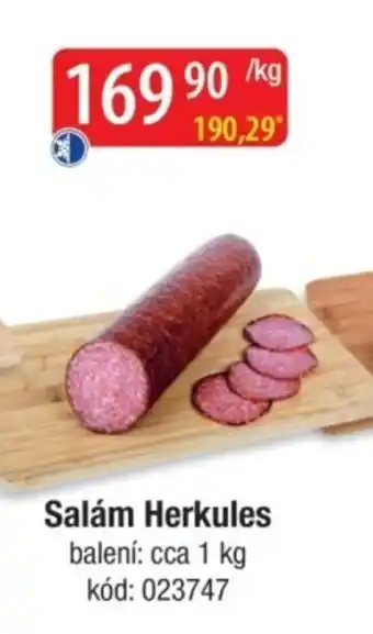 Qanto Salám Herkules nabídka
