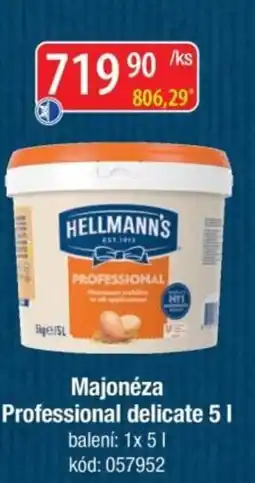 Qanto HELLMANN'S Majonéza Professional delicate nabídka