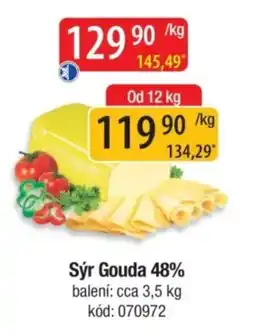 Qanto Sýr Gouda 48% nabídka