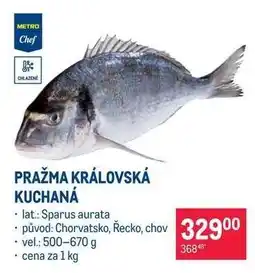 Makro Pražma královská kuchaná nabídka