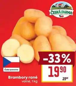 Billa Brambory rané nabídka