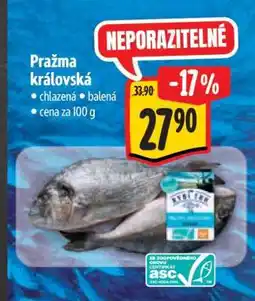 Albert Pražma královská nabídka