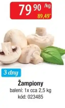 Qanto Žampiony nabídka