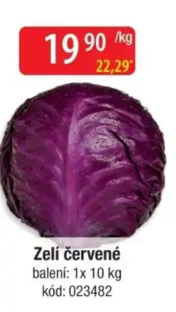 Qanto Zelí červené nabídka