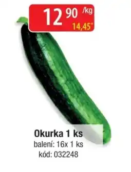 Qanto Okurka nabídka