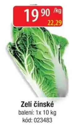 Qanto Zelí čínské nabídka