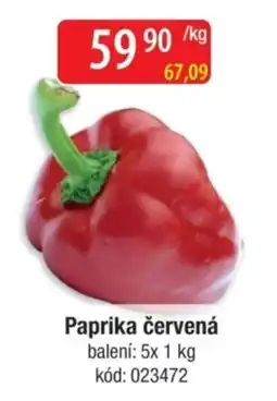 Qanto Paprika červená nabídka