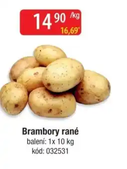 Qanto Brambory rané nabídka