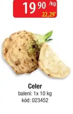 Qanto Celer nabídka