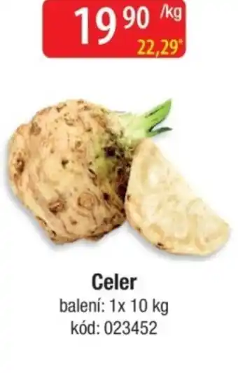Qanto Celer nabídka
