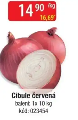 Qanto Cibule červená nabídka