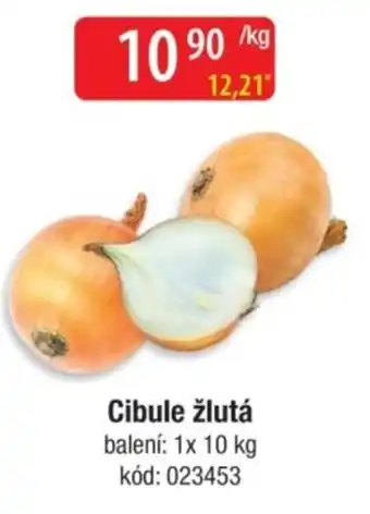 Qanto Cibule žlutá nabídka