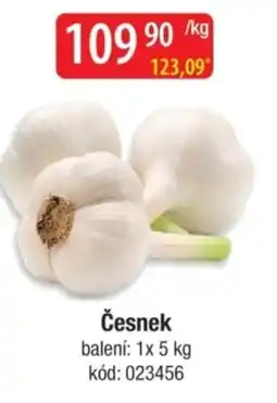 Qanto Česnek nabídka