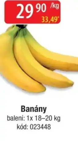 Qanto Banány nabídka