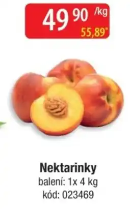 Qanto Nektarinky nabídka