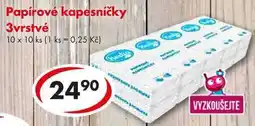 CBA Papírové kapesníčky 3vrstvé, 10x 10 ks nabídka