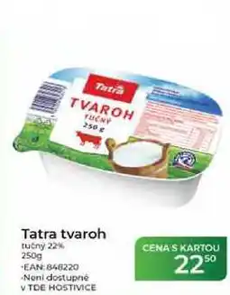 Tamda Foods Tatra tvaroh tučný 22% nabídka