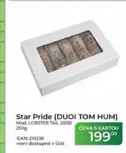 Tamda Foods Star Pride (DUOI TOM HUM) Mraz, LOBSTER TAIL 20/50 nabídka