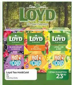 Tamda Foods Loyd Tea Hot&Cold čaj nabídka
