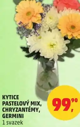Penny Market Kytice pastelový mix, chryzantémy, germini nabídka