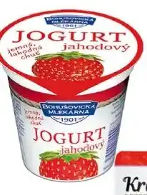 Qanto Jogurt Bohušovice nabídka