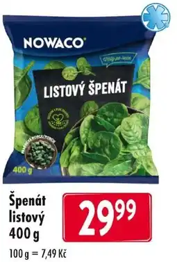 Qanto Špenát listový nabídka