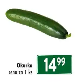 Qanto Okurka nabídka