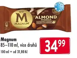Qanto Magnum nabídka