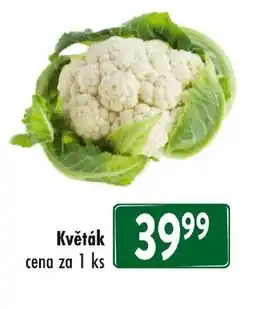 Qanto Květák nabídka