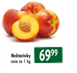 Qanto Nektarinky nabídka