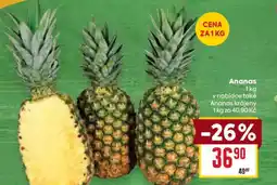 Billa Ananas krájený nabídka