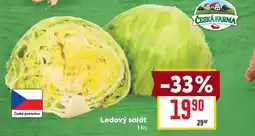 Billa Ledový salát nabídka