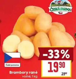 Billa Brambory rané nabídka