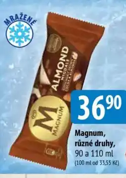 Bala Magnum nabídka