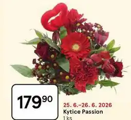 Tesco Kytice Passion, 1 ks nabídka