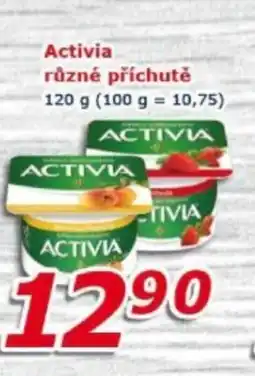 ESO MARKET Activia nabídka