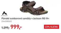 Intersport Pánské outdoorové sandály >>Jackson RG IV<< nabídka
