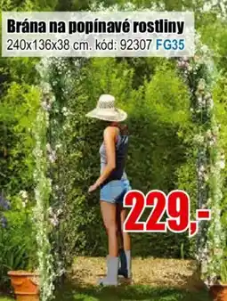 EVA Brána na popínavé rostliny nabídka