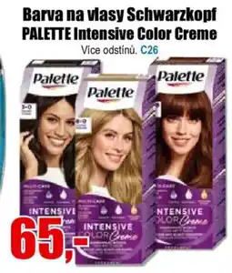 EVA Barva na vlasy Schwarzkopf PALETTE Intensive Color Creme nabídka