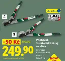 Lidl PARKSIDE Teleskopické nůžky na větve nabídka