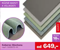 Asko Koberec Montana nabídka